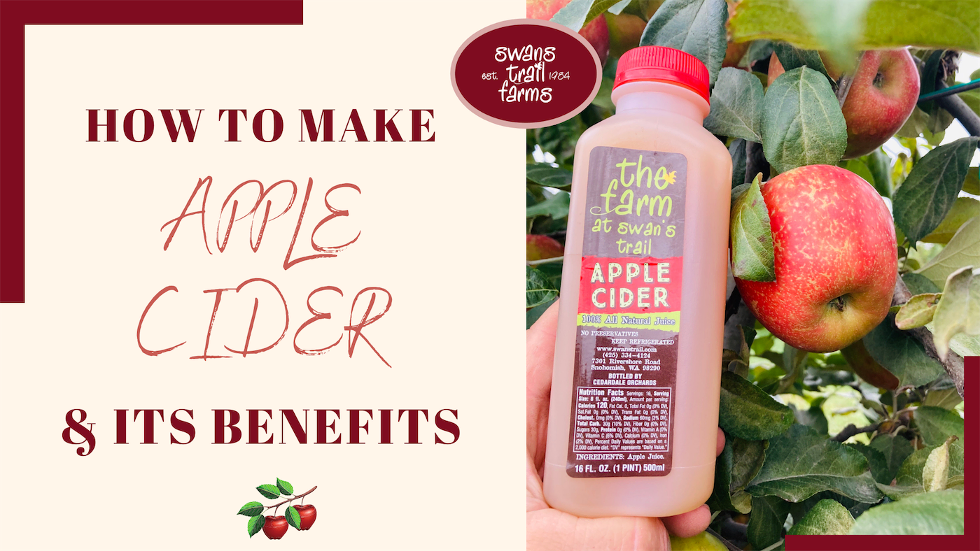 How to Make Apple Cider and Its Health Benefits
