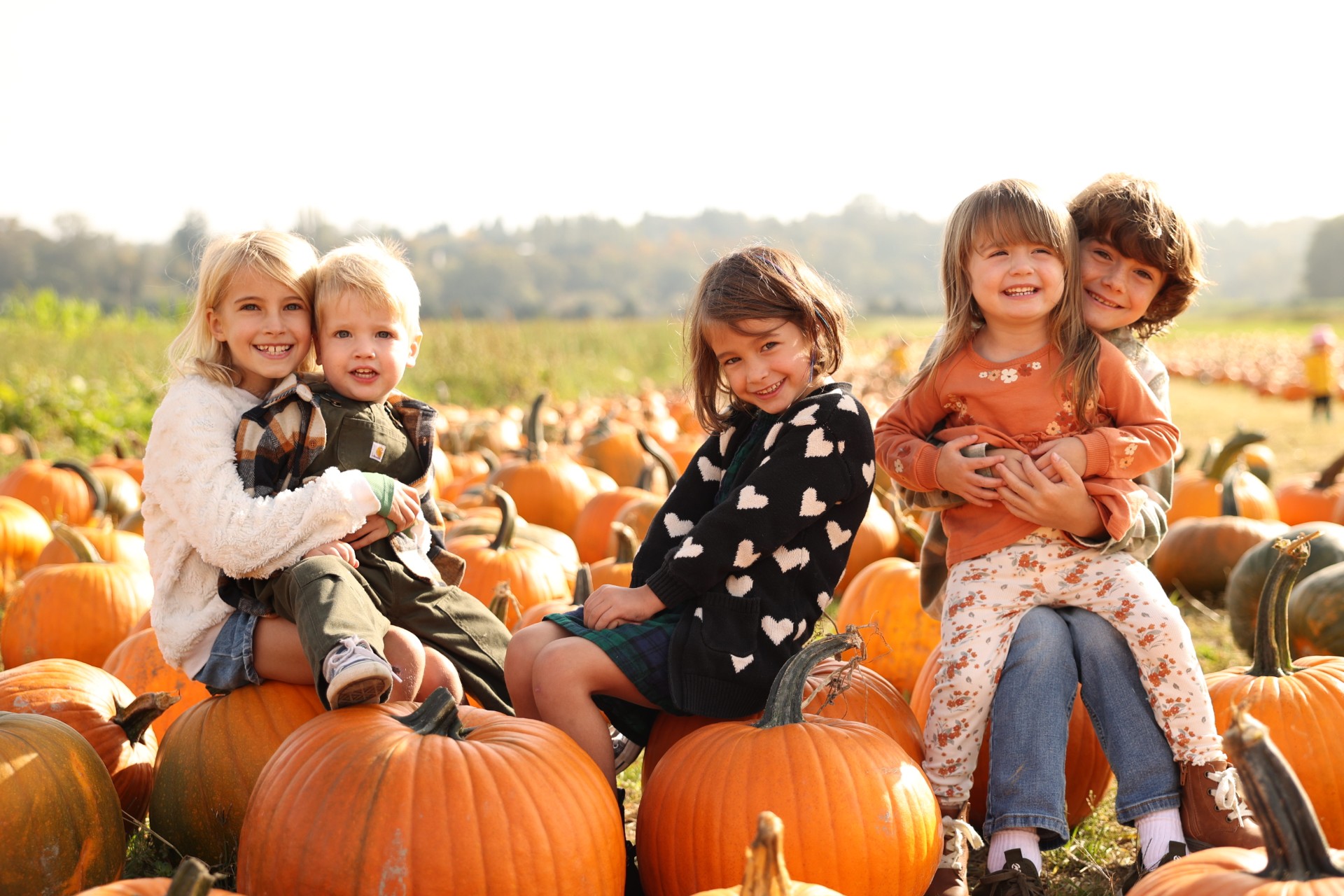 U-Pick Pumpkin Patch