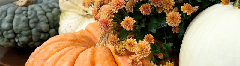 Fall Farm Parties