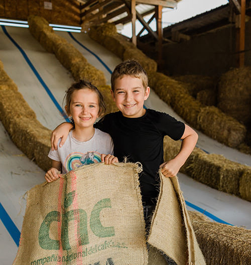 50-Ft. Triple Indoor Slides