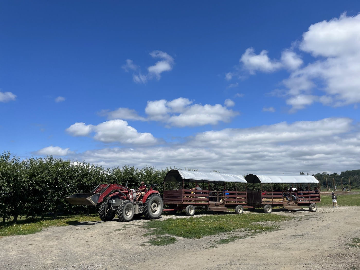 Wagon Hay Rides