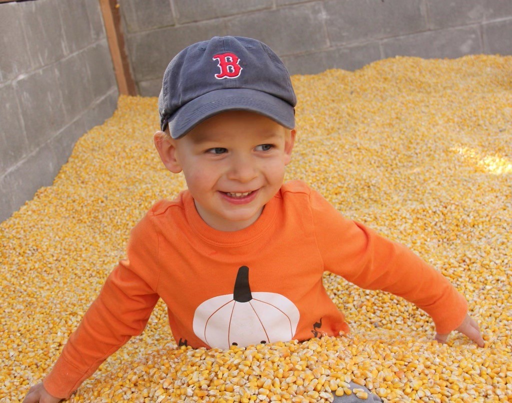 Corn Barn