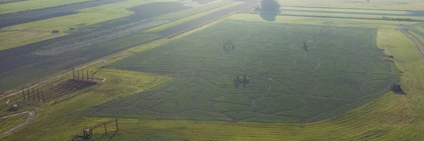 Washington State Corn Maze