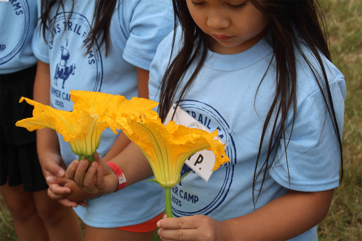 Week 1 •  Week 3<br> Fall & Winter Seasons