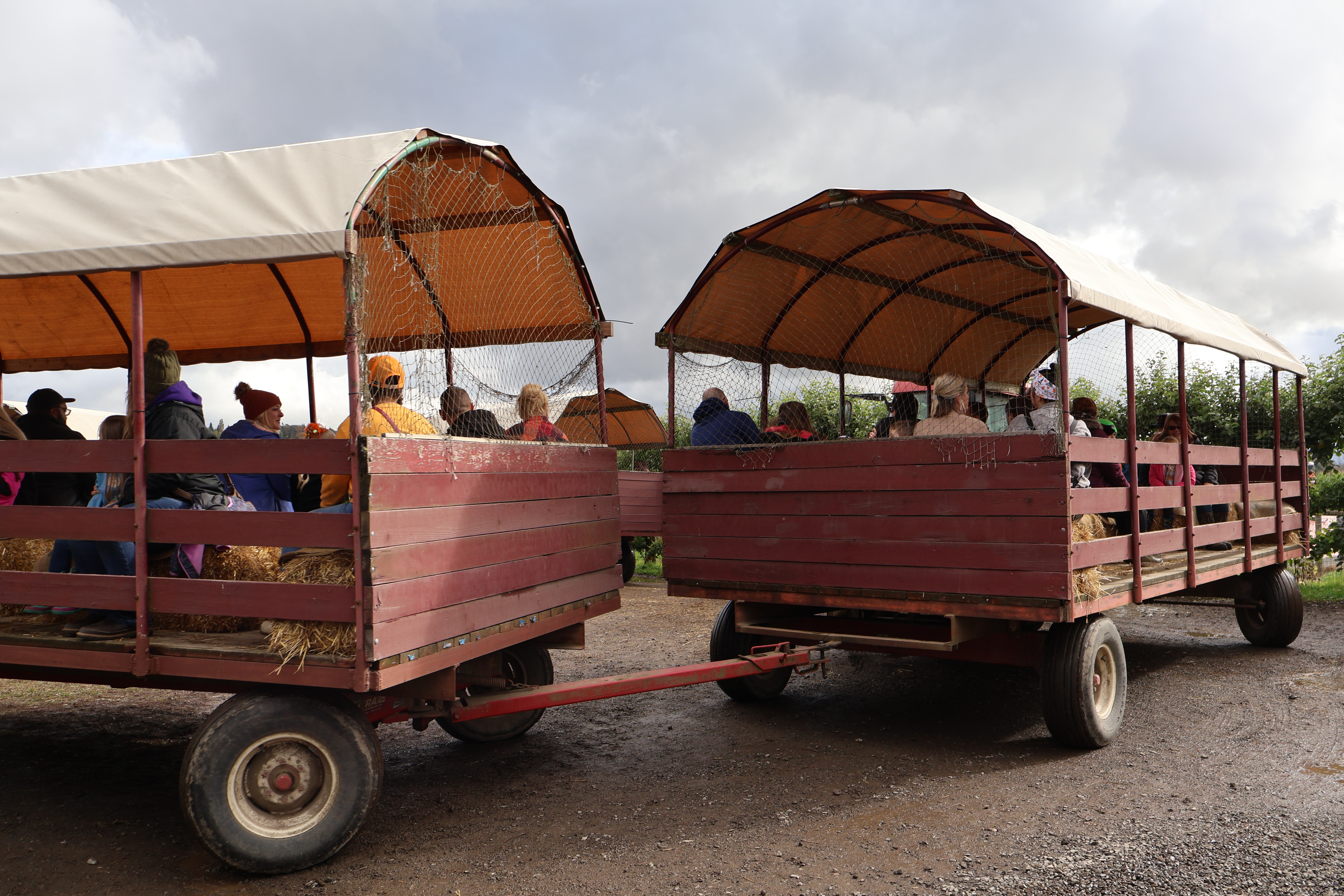 Wagon Hay Rides