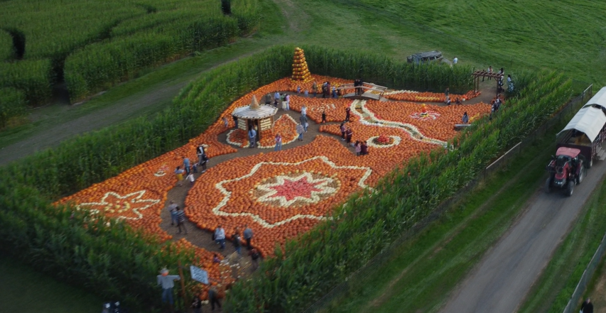 Harvest Festival