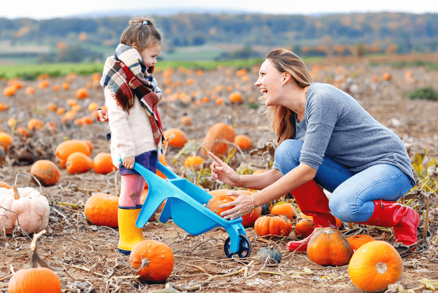 U-Pick Pumpkin Patch